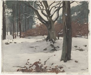 Bäume im Schnee