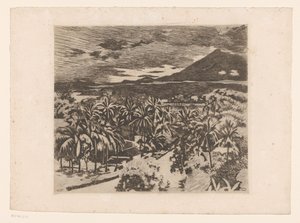 Ansicht einer Landschaft mit Kokospalmen in Buitenzorg