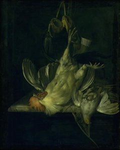Ein toter weißer Hahn von Willem van Aelst