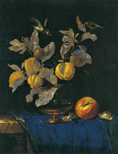 Stillleben mit Früchten von Willem van Aelst