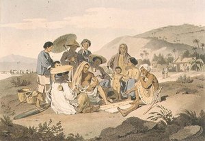 Eine Gruppe von Cochin-Chinesen, Tafel 14 aus 