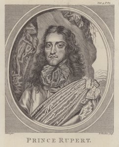 Prinz Rupert vom Rhein, deutscher Soldat im englischen Bürgerkrieg von William (after) Dobson