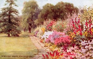 Staudenbeet, Kew Gardens