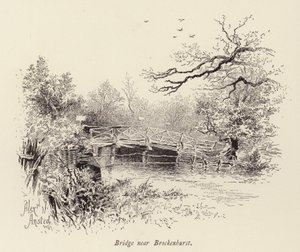 Brücke bei Brockenhurst von William Alexander Ansted