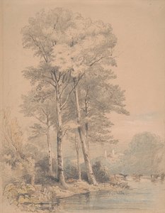 Llandovery Castle, Südwales von William Alfred Delamotte