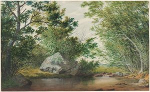 Landschaft mit bewaldetem Bach und Felsen