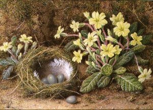 Stillleben mit Eiern im Nest und Primeln
