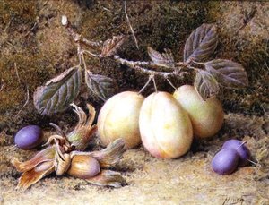 Stillleben mit Pflaumen und Nüssen