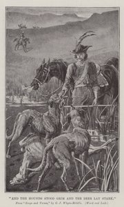 Und die Hunde standen grimmig und das Reh lag starr von William Barnes Wollen