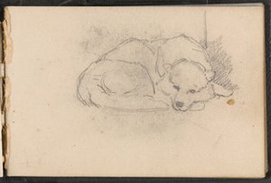 Skizze eines schlafenden Hundes, ca. 1879 von William Barnes Wollen