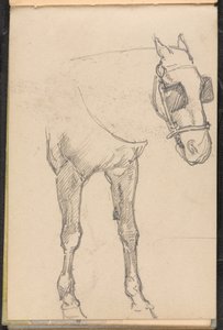 Skizze eines Pferdes mit Scheuklappen, ca. 1879 von William Barnes Wollen