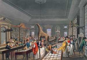 Innenraum der Egyptian Hall, Piccadilly, geätzt vom Künstler, ca. 1815-25 von William Benjamin Sarsfield Taylor