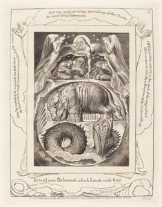 Behemoth und Leviathan von William Blake