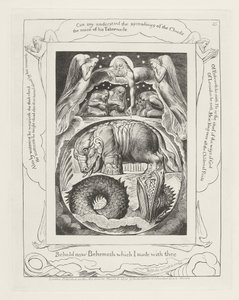 Siehe nun Behemoth, den ich mit dir gemacht habe von William Blake