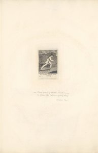 Für die Geschlechter - Die Tore des Paradieses, Platte 16, Der Reisende eilt am Abend von William Blake