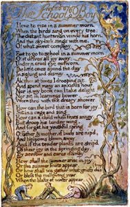 Der Schuljunge: Platte 53 aus Songs of Innocence and of Experience (Kopie AA)