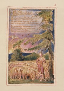 Der Hirte: Platte 5 aus Songs of Innocence and of Experience (Kopie AA) ca. 1815-26 von William Blake