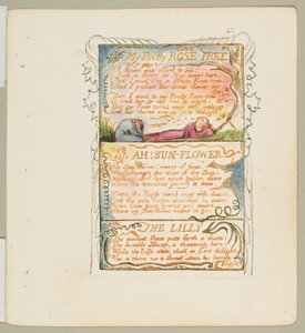 Lieder der Unschuld und der Erfahrung: Mein hübscher Rosenbaum, Ach! Sonnenblume, Die Lilie, ca. 1825 von William Blake