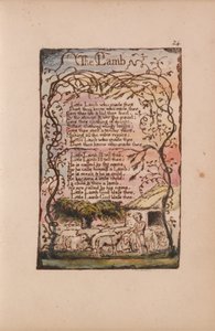 Lieder der Unschuld und der Erfahrung, Tafel 24, Das Lamm (Bentley 8) von William Blake