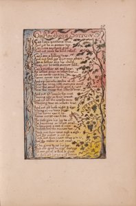 Lieder der Unschuld und der Erfahrung, Tafel 28, Über fremdes Leid (Bentley 27) von William Blake