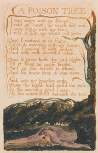 Lieder der Unschuld und der Erfahrung, Platte 41, "Ein Giftbaum" (Bentley 49) von William Blake