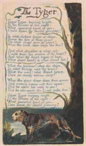 Lieder der Unschuld und Erfahrung, Platte 42, "Der Tiger" (Bentley 42) von William Blake