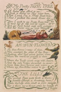 Lieder der Unschuld und der Erfahrung, Platte 47, "Mein hübscher Rosenbaum" (Bentley 43) von William Blake