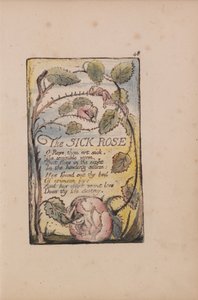 Lieder der Unschuld und der Erfahrung, Tafel 48, Die kranke Rose (Bentley 39) von William Blake