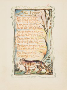 Lieder der Unschuld und Erfahrung: Der Tiger, ca. 1825 von William Blake