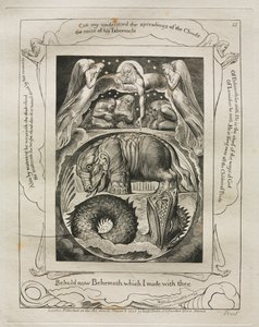 Das Buch Hiob: Pl. 15, Siehe jetzt Behemoth, das ich mit dir gemacht habe von William Blake