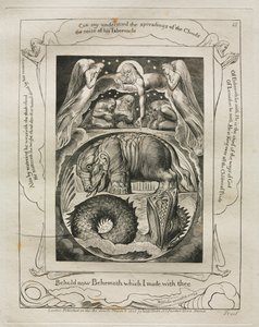 Das Buch Hiob: Pl. 15, Siehe jetzt Behemoth, den ich mit dir gemacht habe, 1825 von William Blake