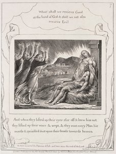 Das Buch Hiob: Pl. 7, und als sie ihre Augen erhoben hatten