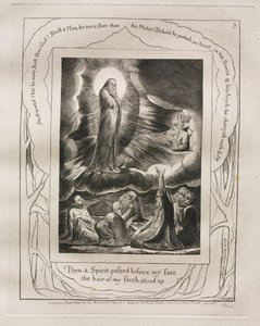 Das Buch Hiob: Pl. 9, Dann ging ein Geist vor meinem Gesicht vorbei / das Haar meines Fleisches stand auf von William Blake