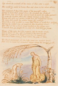 Das Buch Thel, Tafel 4, Warum sollte die Herrin . . . . von William Blake