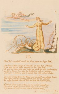 Das Buch Thel, Tafel 6, III., Dann war Thel erstaunt... von William Blake