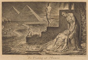 Das Verstecken von Moses von William Blake