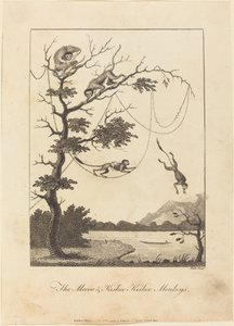 Die Mecoo & Kisbee Kishee Affen, 1793 von William Blake
