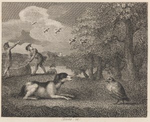 Der Vorstehhund und das Rebhuhn von William Blake
