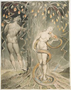 Die Versuchung und der Fall von Eva (Illustration zu Miltons "Verlorenes Paradies") von William Blake