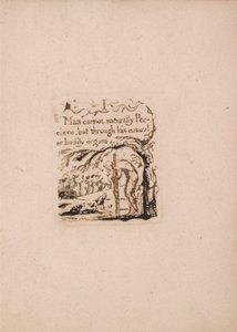 Es gibt keine natürliche Religion, Tafel 3, Ich Mensch kann nicht natürlich.... (Bentley a4) von William Blake