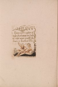 Es gibt keine natürliche Religion, Tafel 5 (Bentley a6) von William Blake