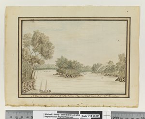 Gegenüber S. 120. `Ein Blick in den oberen Teil von Port Jackson; als der Fisch geschossen wurde.