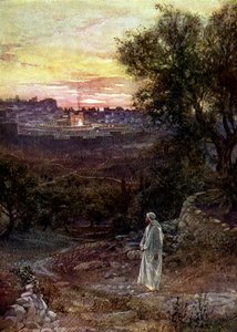 Jesus auf dem Ölberg - Bibel