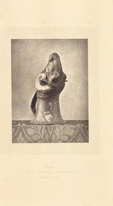 Widderkopfbecher