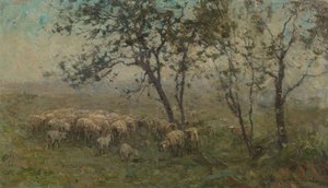 Eine Schafherde