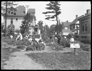 Kinder arbeiten im Garten der Poppenhusen-Filiale der Queens Borough Public Library, 14. August 1915 von William Davis Hassler