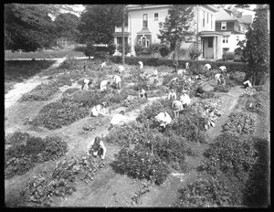 Vogelperspektive von Kindern, die im Garten der Poppenhusen-Filiale der Queens Borough Public Library arbeiten, 14. August 1915 von William Davis Hassler