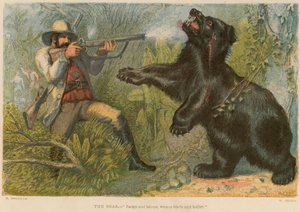 Der Bär von William Dickes