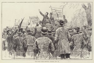 Das Hyde Park Treffen, Sonntag, 20. November von William Douglas Almond