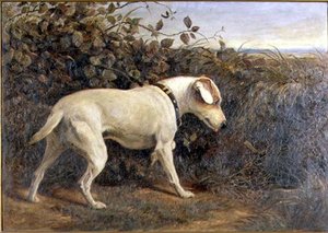 Terrier in einer Landschaft